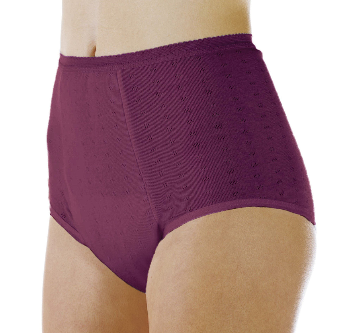 Super Absorbency Full Cut Panty (HDL100)- Plum