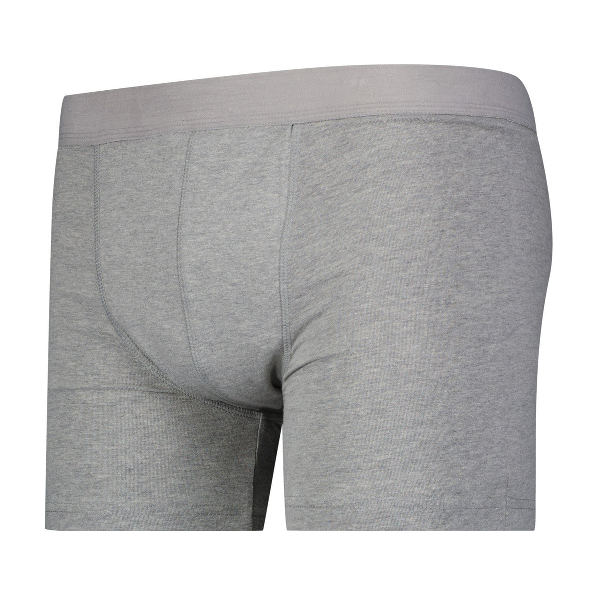 Full Coverage Regular Absorbency Trunk Boxer Brief (SKU: MBB300) Wearever