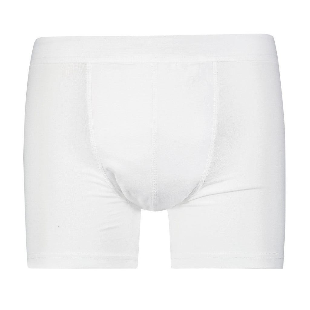 Full Coverage Regular Absorbency Trunk Boxer Brief (SKU: MBB300) Wearever