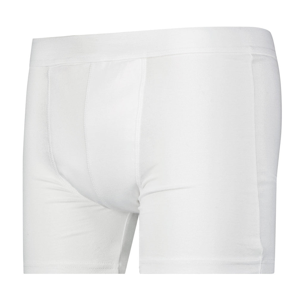 Full Coverage Regular Absorbency Trunk Boxer Brief (SKU: MBB300) Wearever