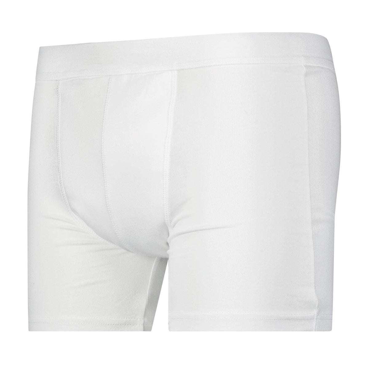 Full Coverage Regular Absorbency Trunk Boxer Brief (SKU: MBB300) Wearever